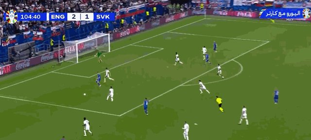 1719771594137091601.gif 佩卡里克.gif